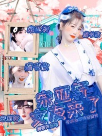 桃花源小黄人破解版